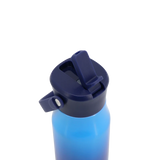 Flowee 14oz Insulated Water Bottle in Blue Gradient